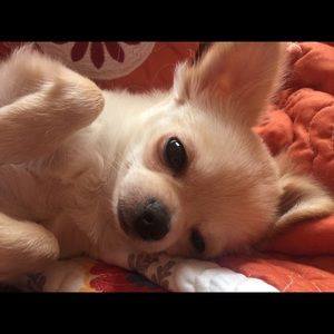 Meet your Posher, Janelle